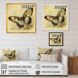 Vintage Illustration Of Butterfly V