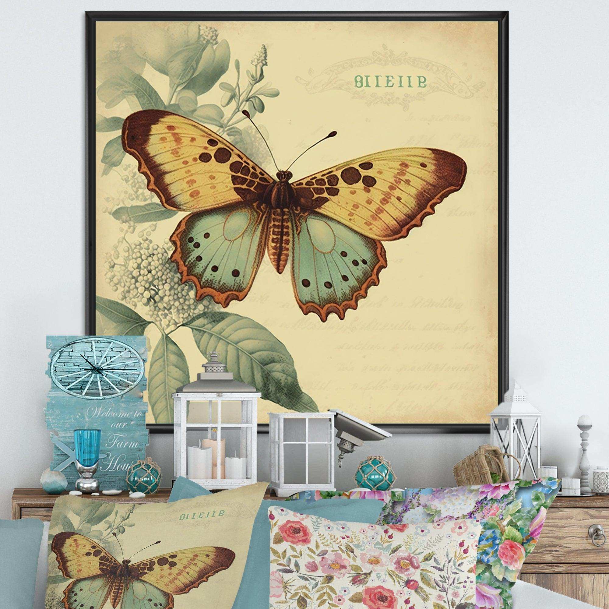 Vintage Illustration Of Butterfly VI