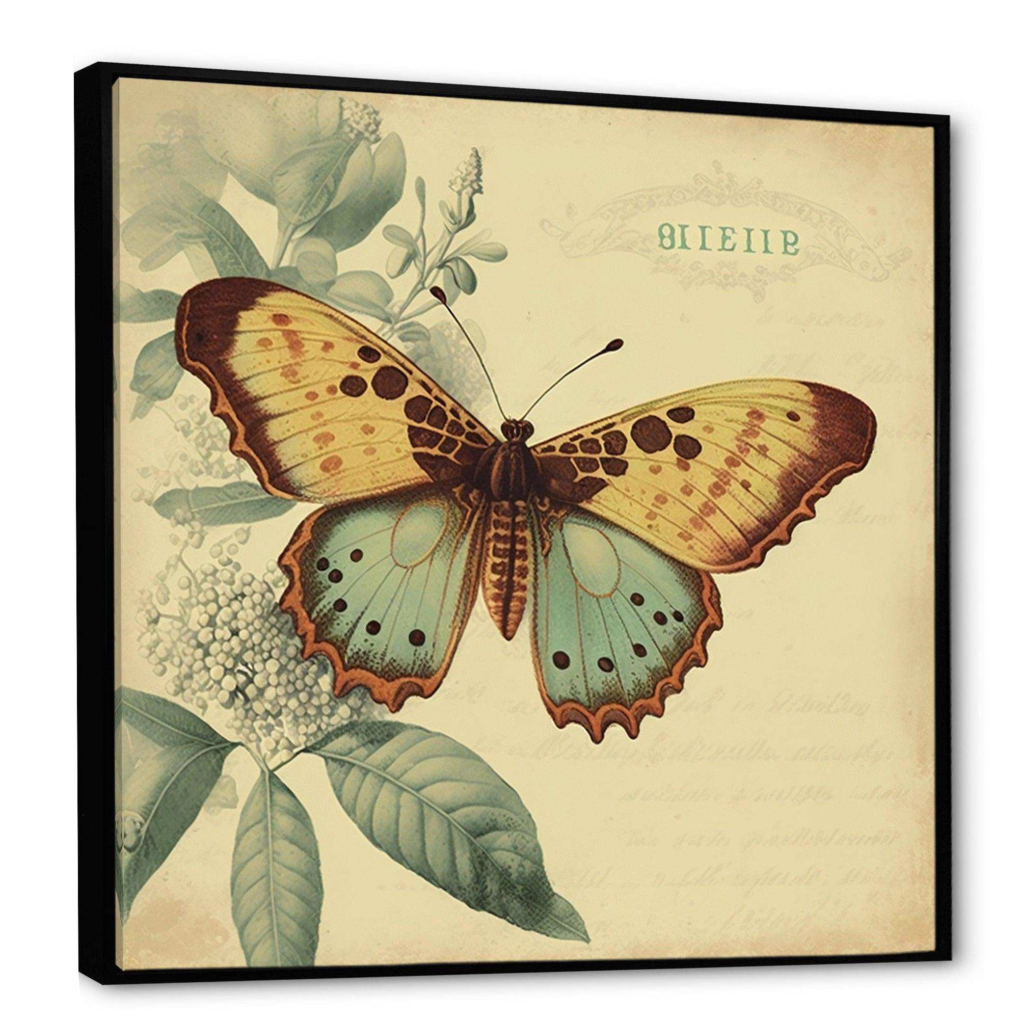Vintage Illustration Of Butterfly VI