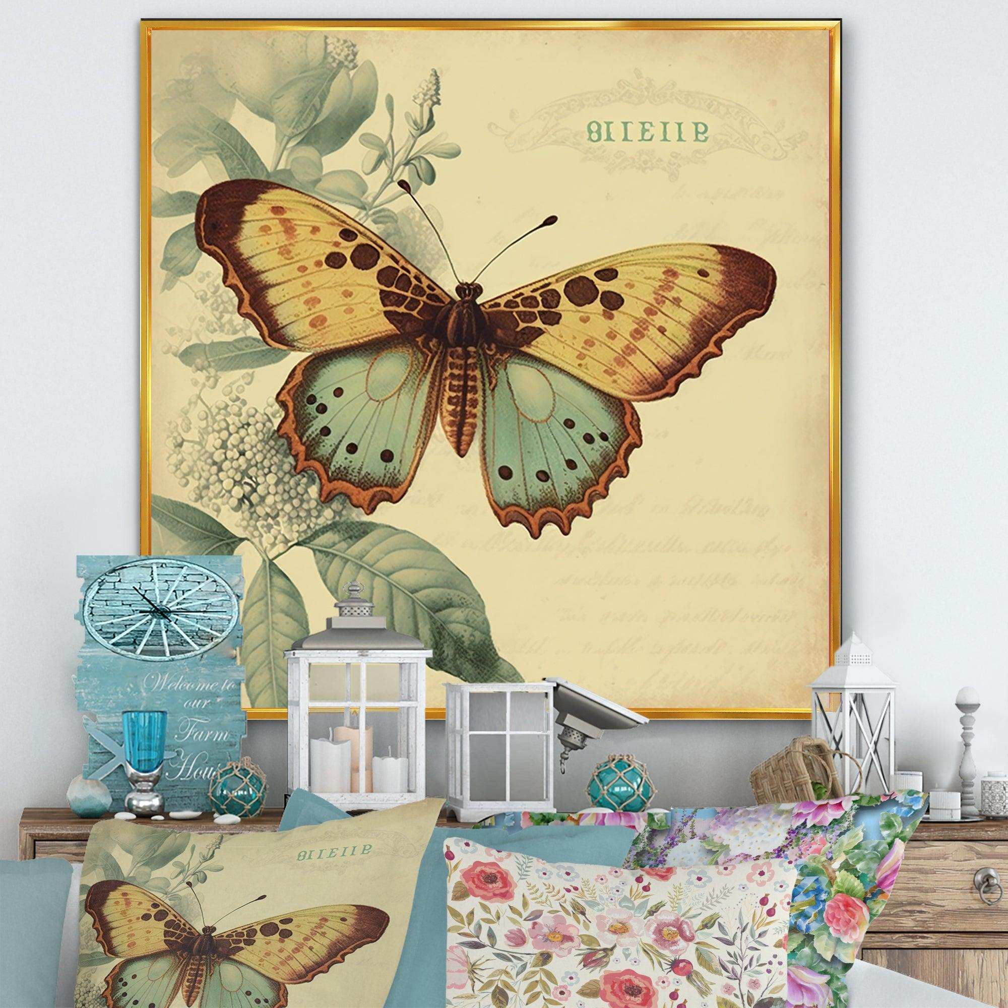 Vintage Illustration Of Butterfly VI