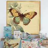 Vintage Illustration Of Butterfly VI