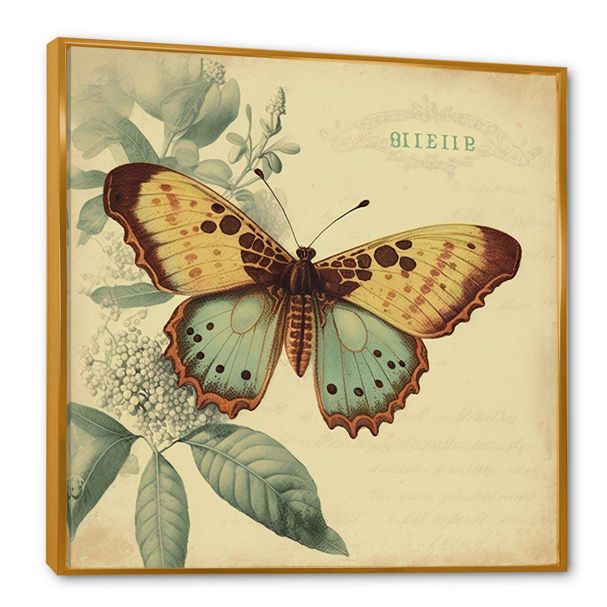 Vintage Illustration Of Butterfly VI