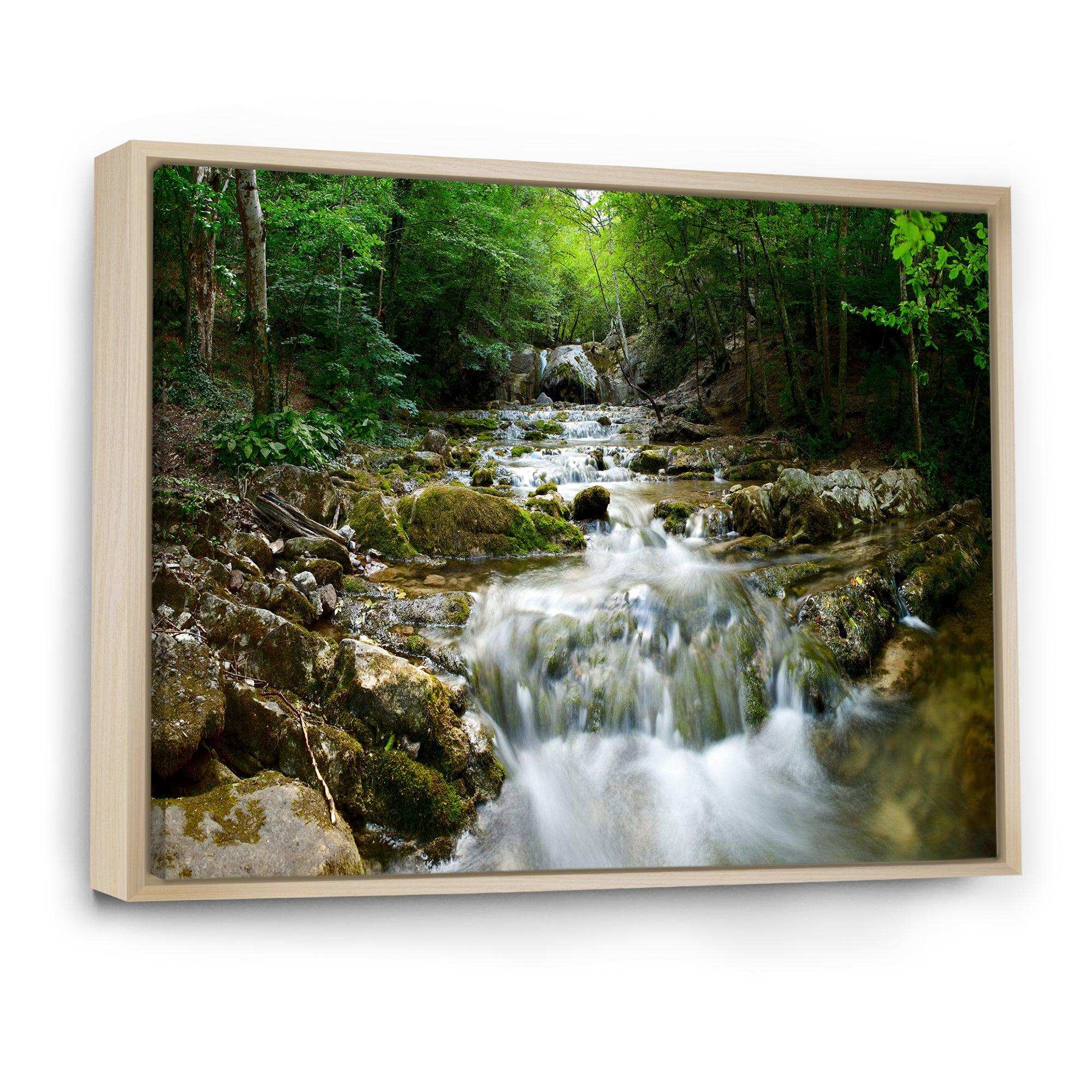 Natural Spring Waterfall