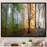 Morning Forest Panorama