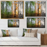 Morning Forest Panorama