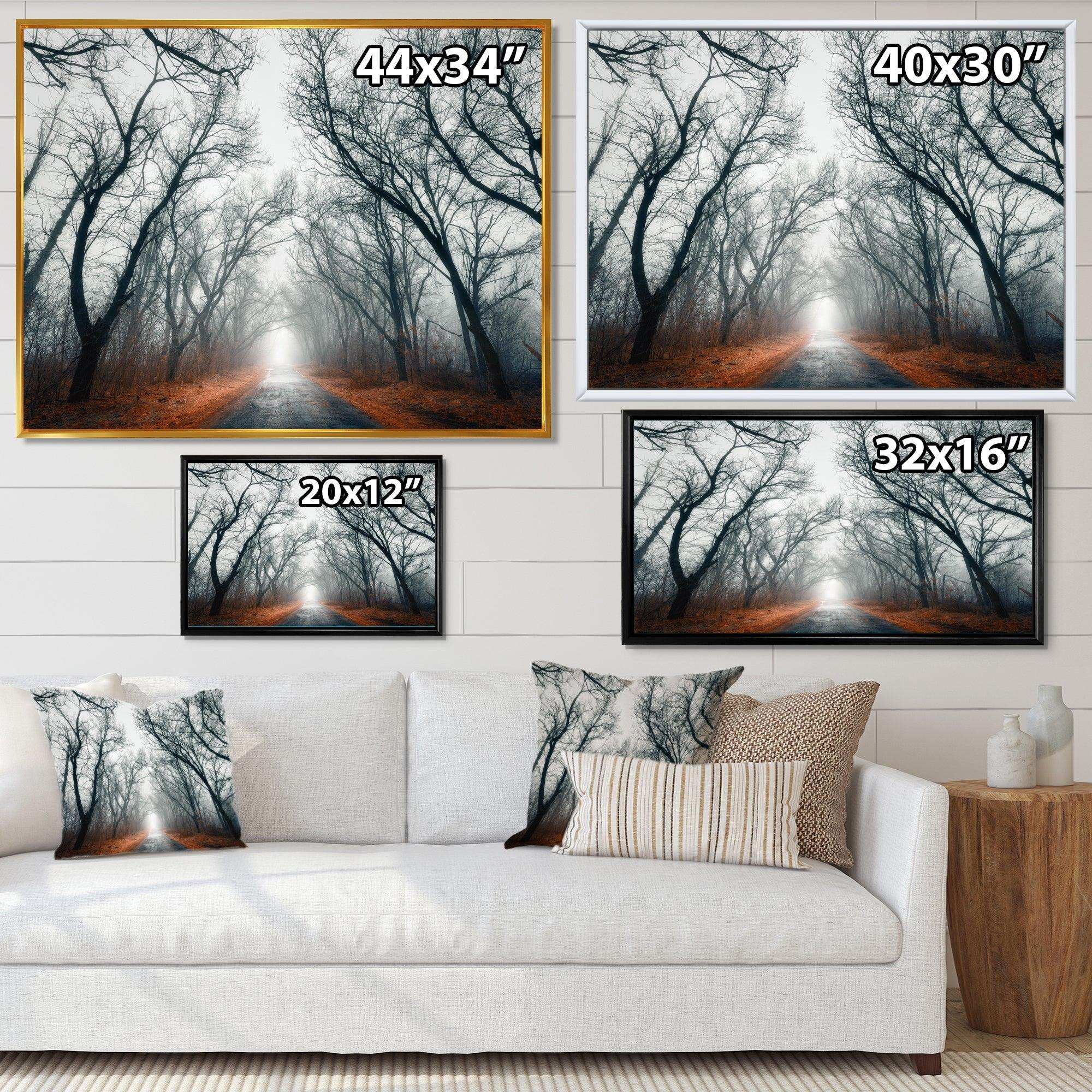 Mystic Road in Forest