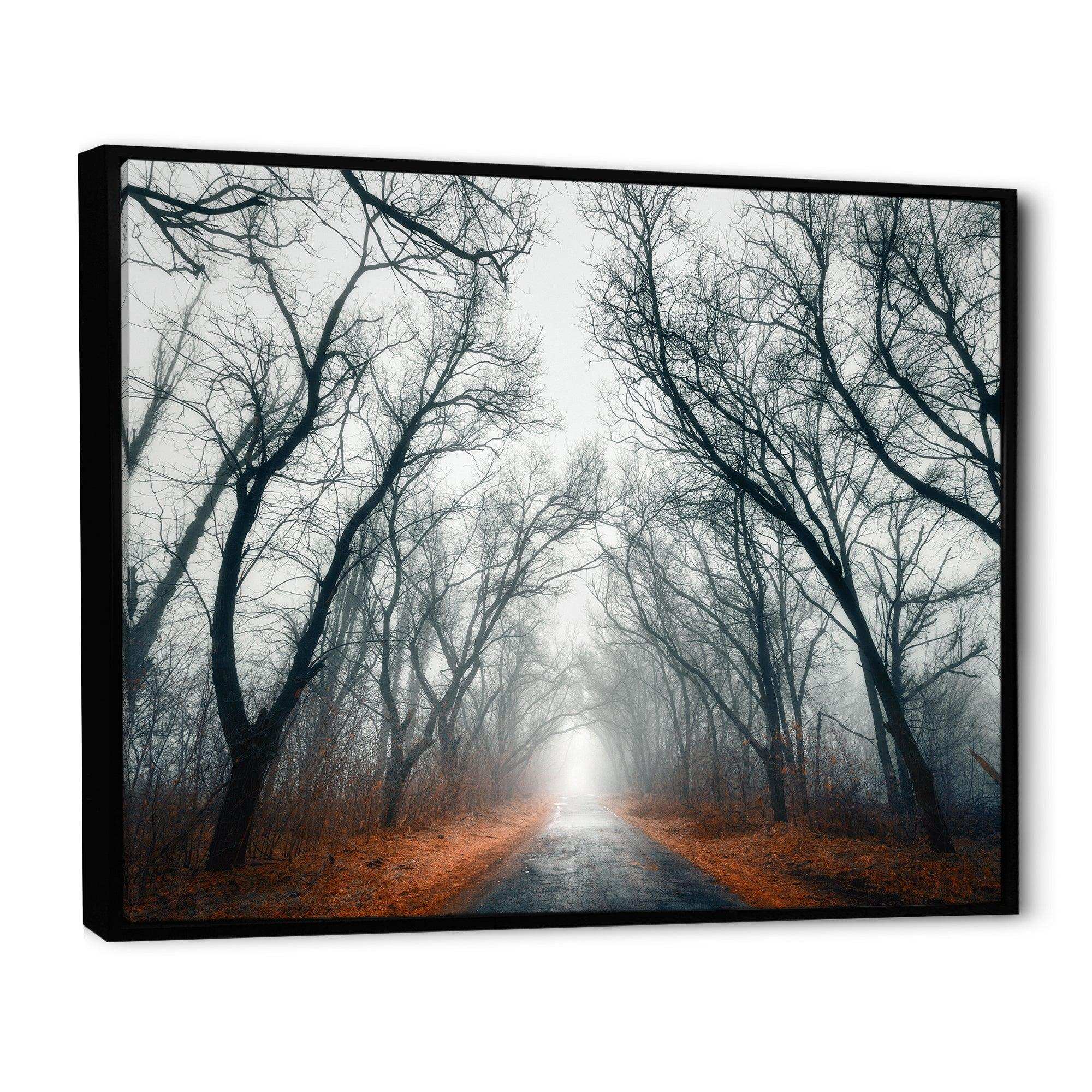 Mystic Road in Forest