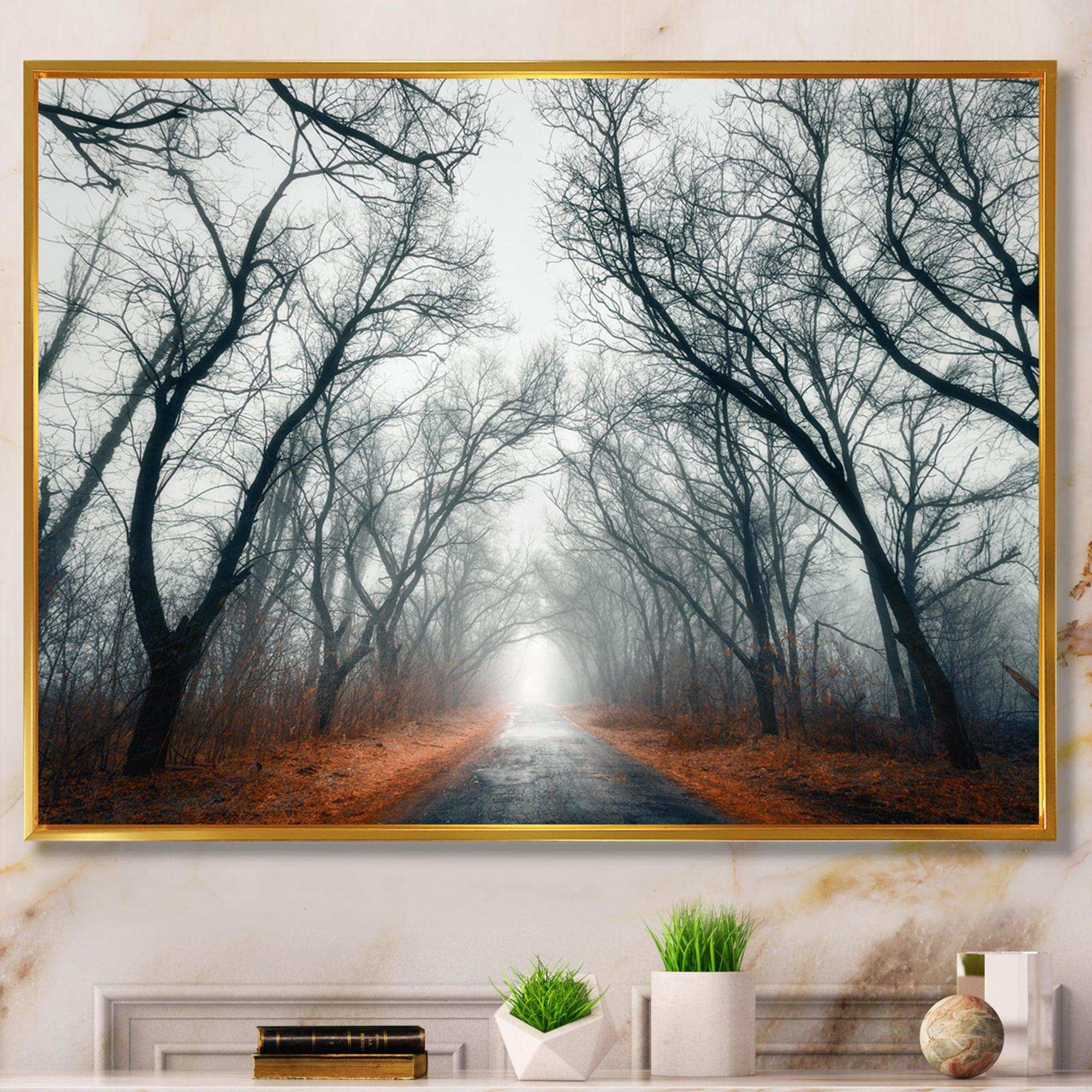 Mystic Road in Forest