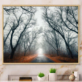 Mystic Road in Forest