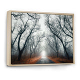 Mystic Road in Forest