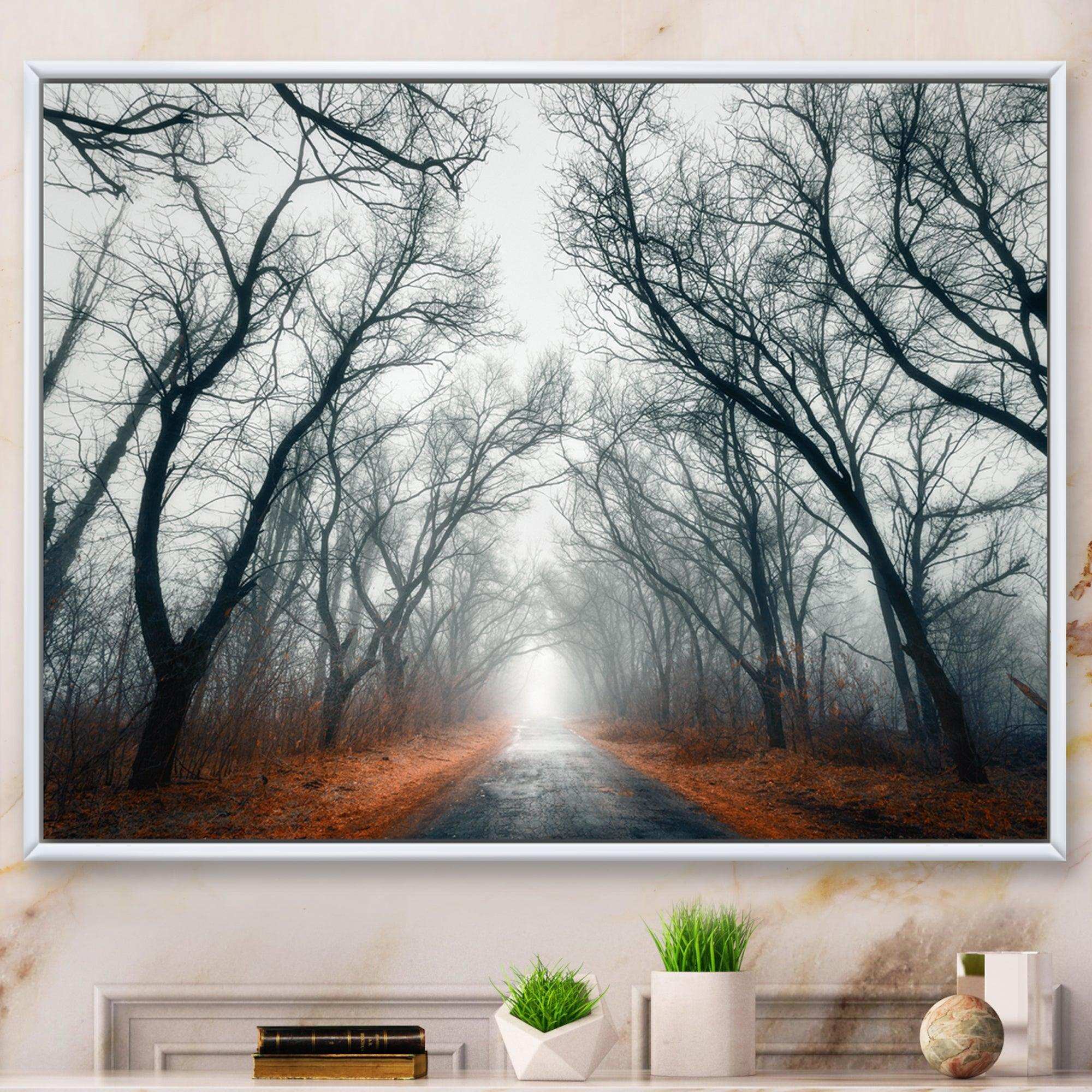 Mystic Road in Forest