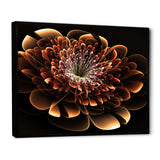 Brown Fractal Flower