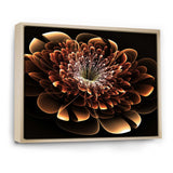 Brown Fractal Flower