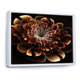 Brown Fractal Flower