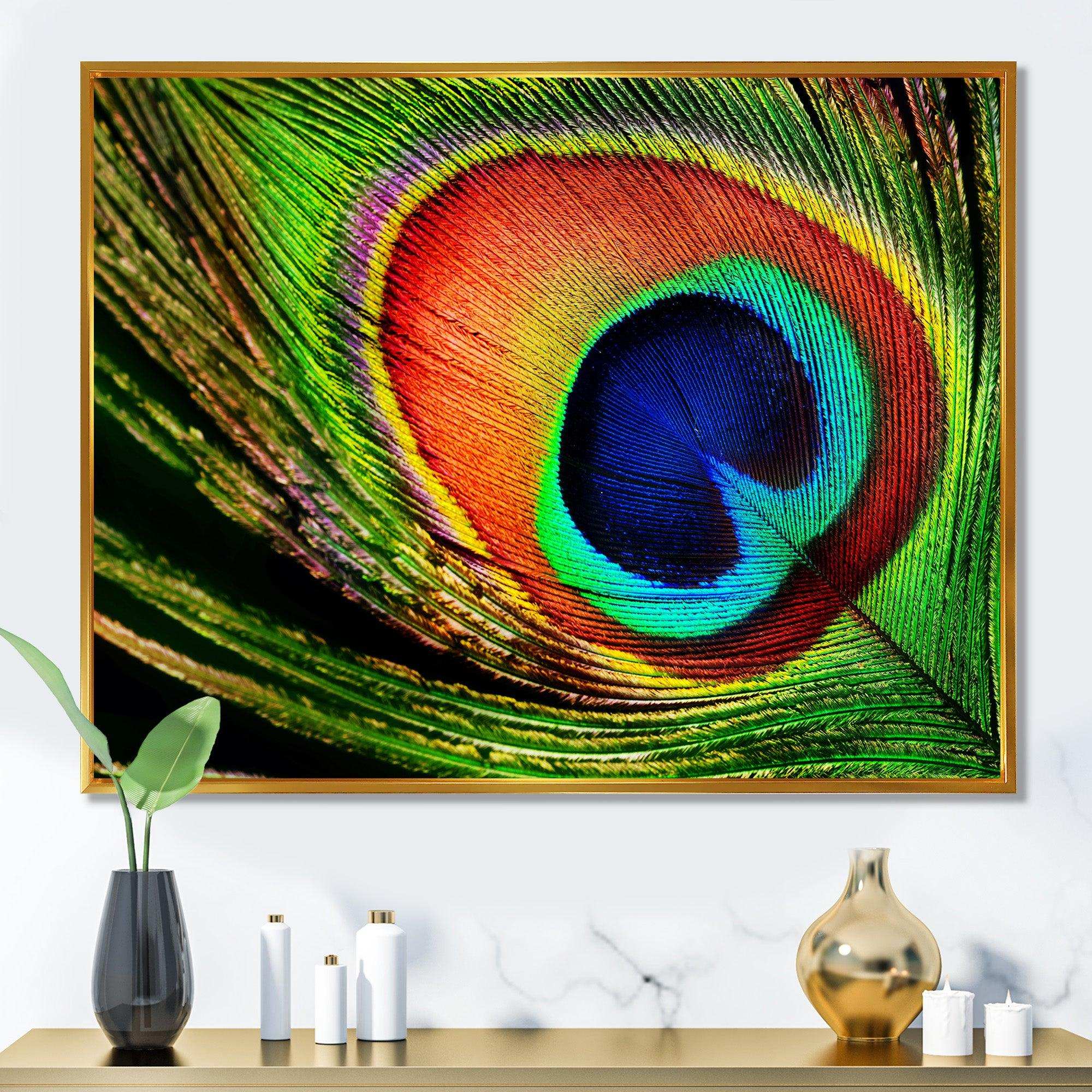 Peacock Feather