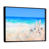 Seashells on Seashore