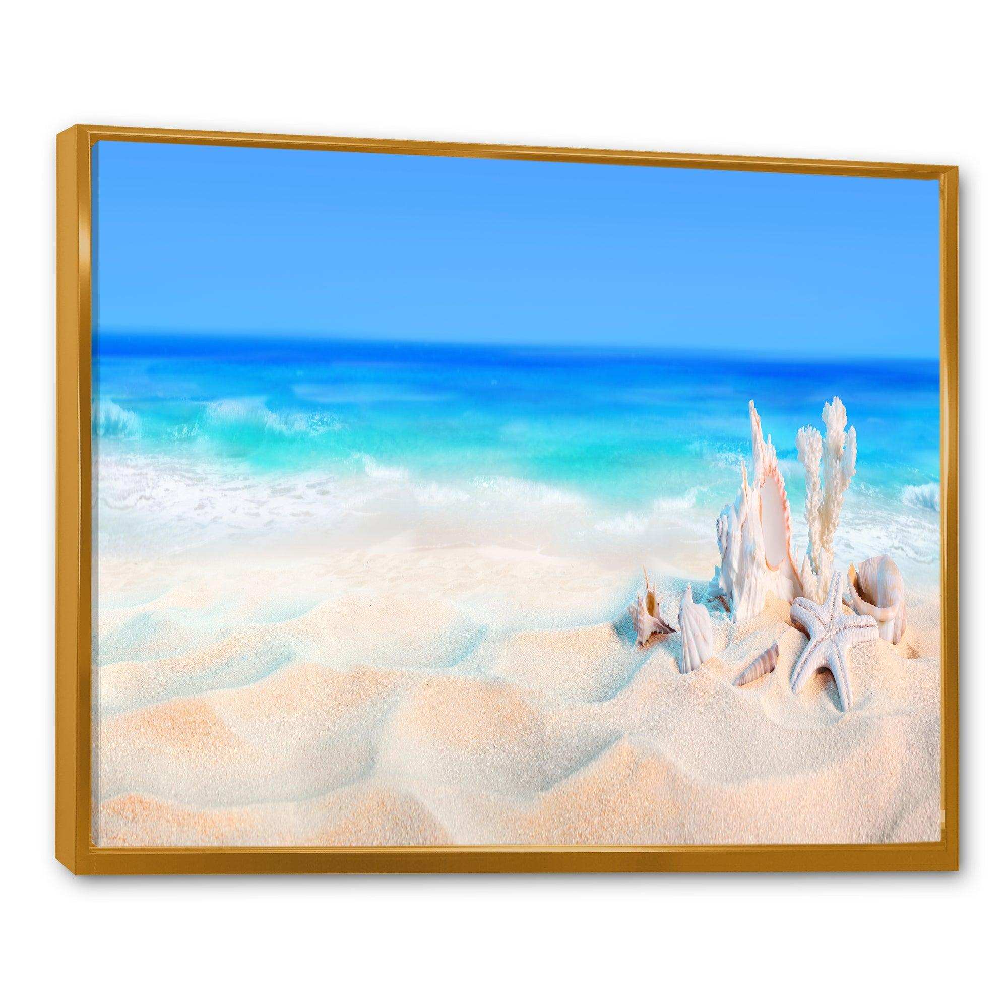 Seashells on Seashore