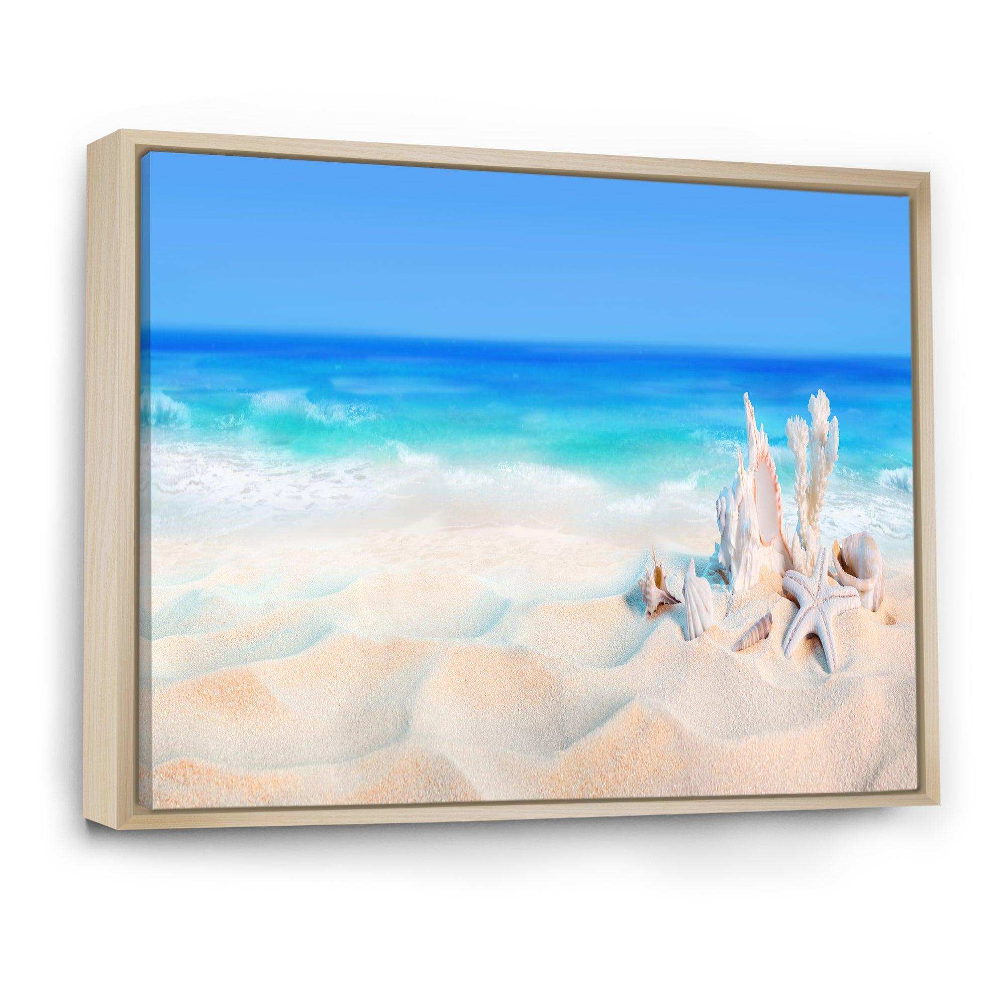 Seashells on Seashore