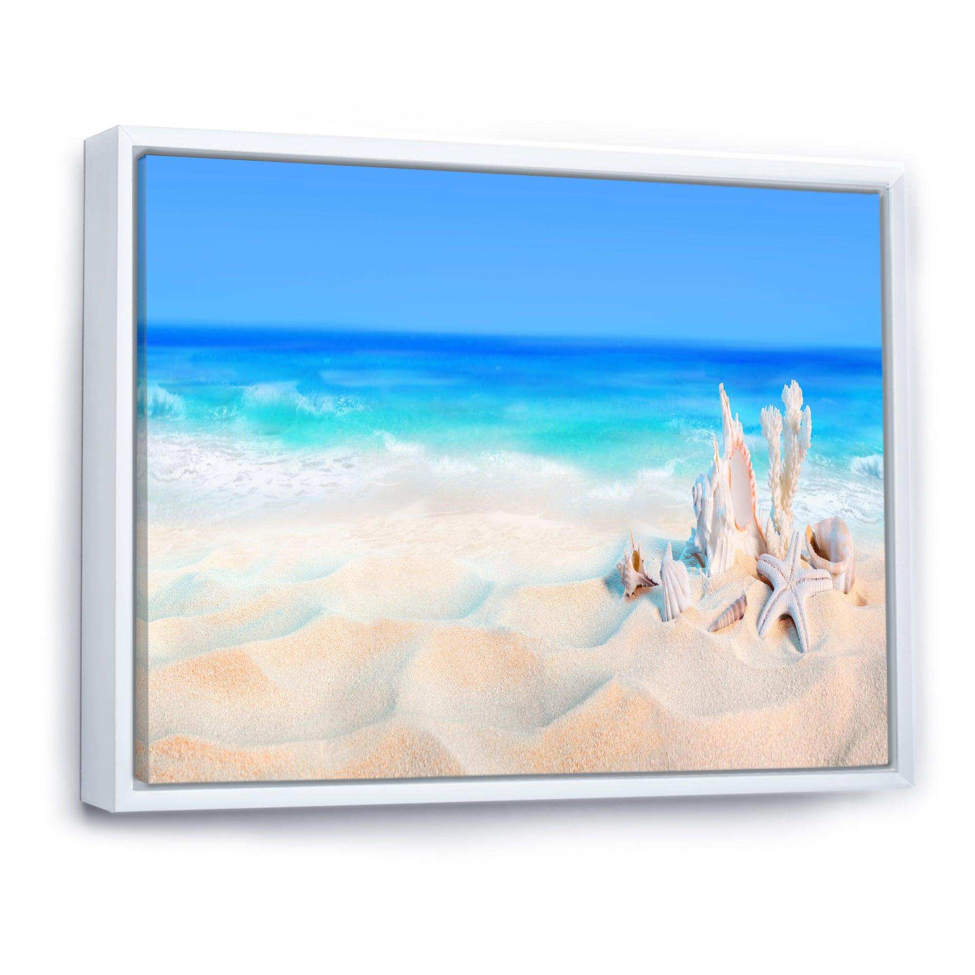 Seashells on Seashore