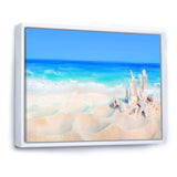 Seashells on Seashore