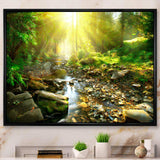 Mountain Stream in Forest