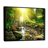 Mountain Stream in Forest