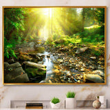 Mountain Stream in Forest