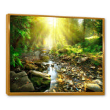 Mountain Stream in Forest