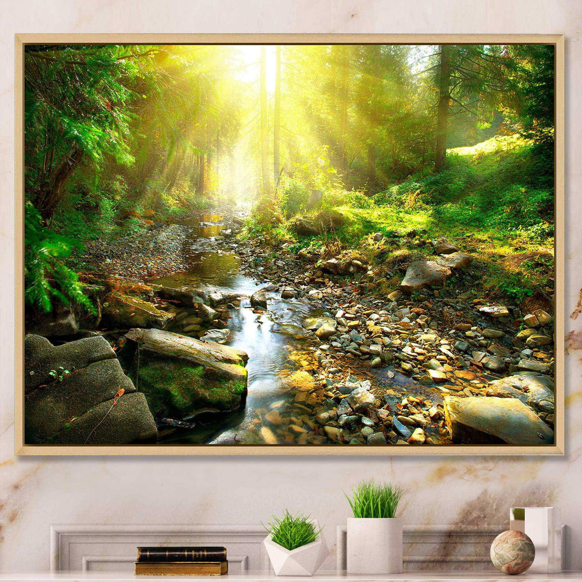 Mountain Stream in Forest