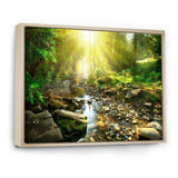 Mountain Stream in Forest