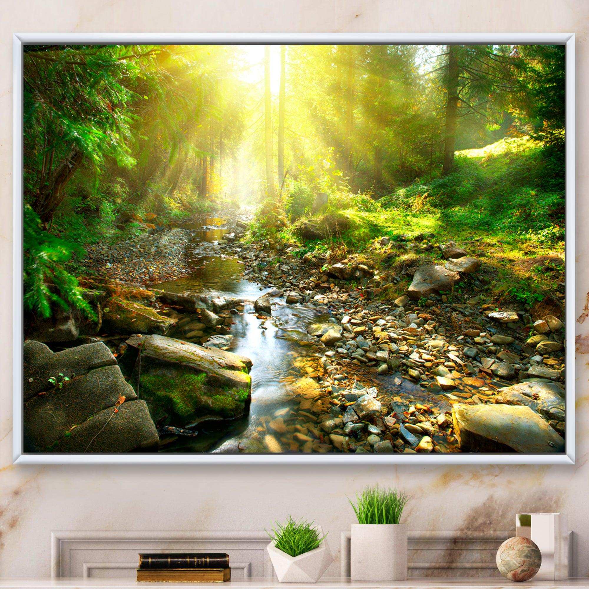 Mountain Stream in Forest