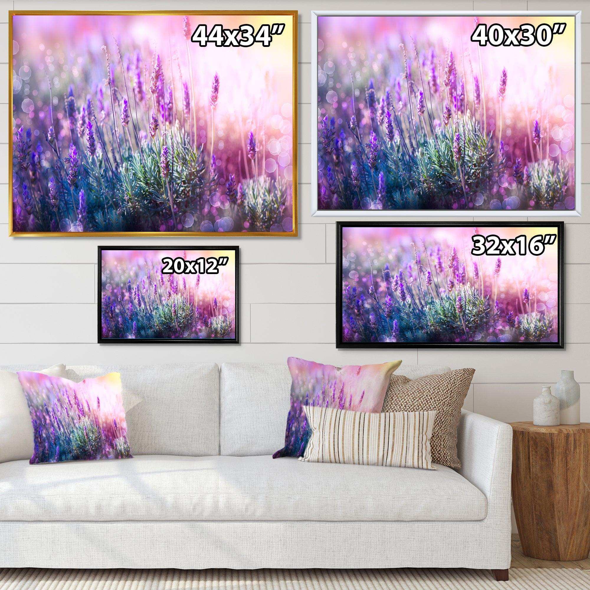 Growing and Blooming Lavender