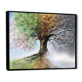 Tree with Four Seasons