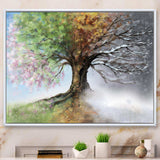 Tree with Four Seasons