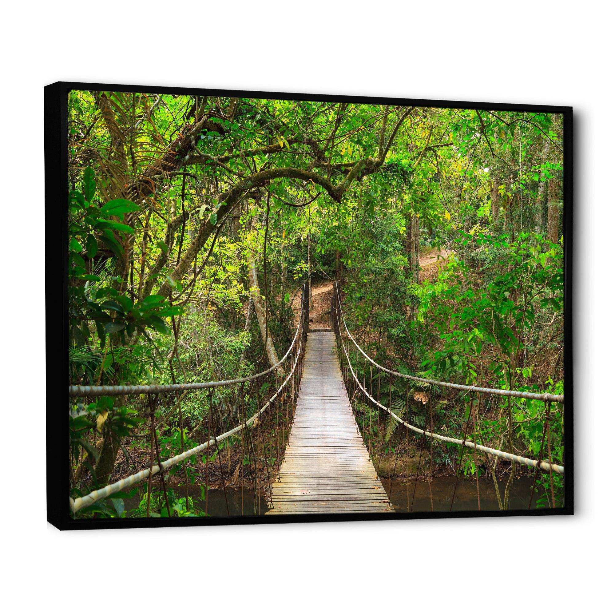 Bridge to Jungle Thailand