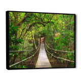 Bridge to Jungle Thailand