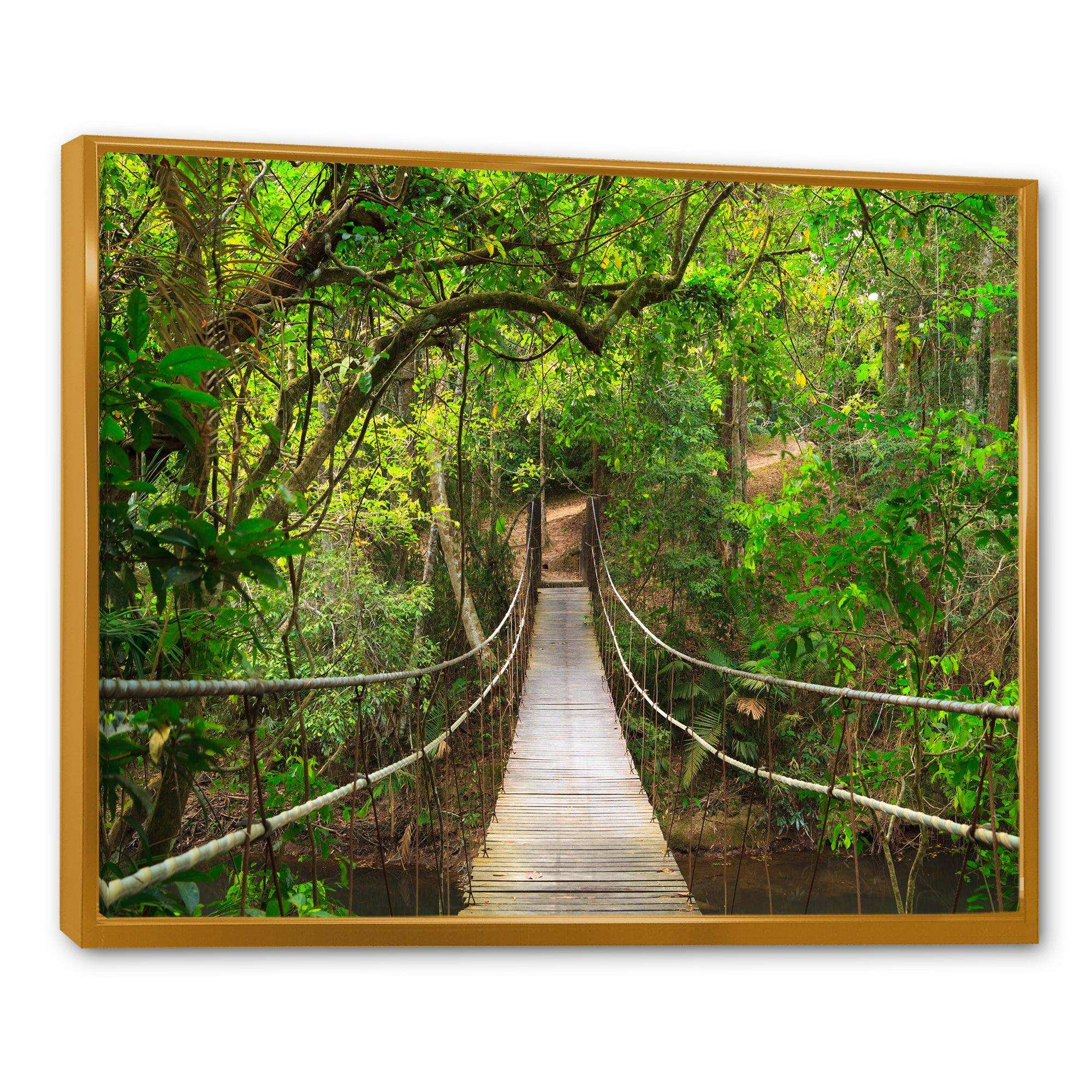 Bridge to Jungle Thailand