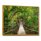 Bridge to Jungle Thailand