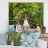 Bridge to Jungle Thailand