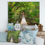 Bridge to Jungle Thailand