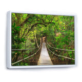 Bridge to Jungle Thailand