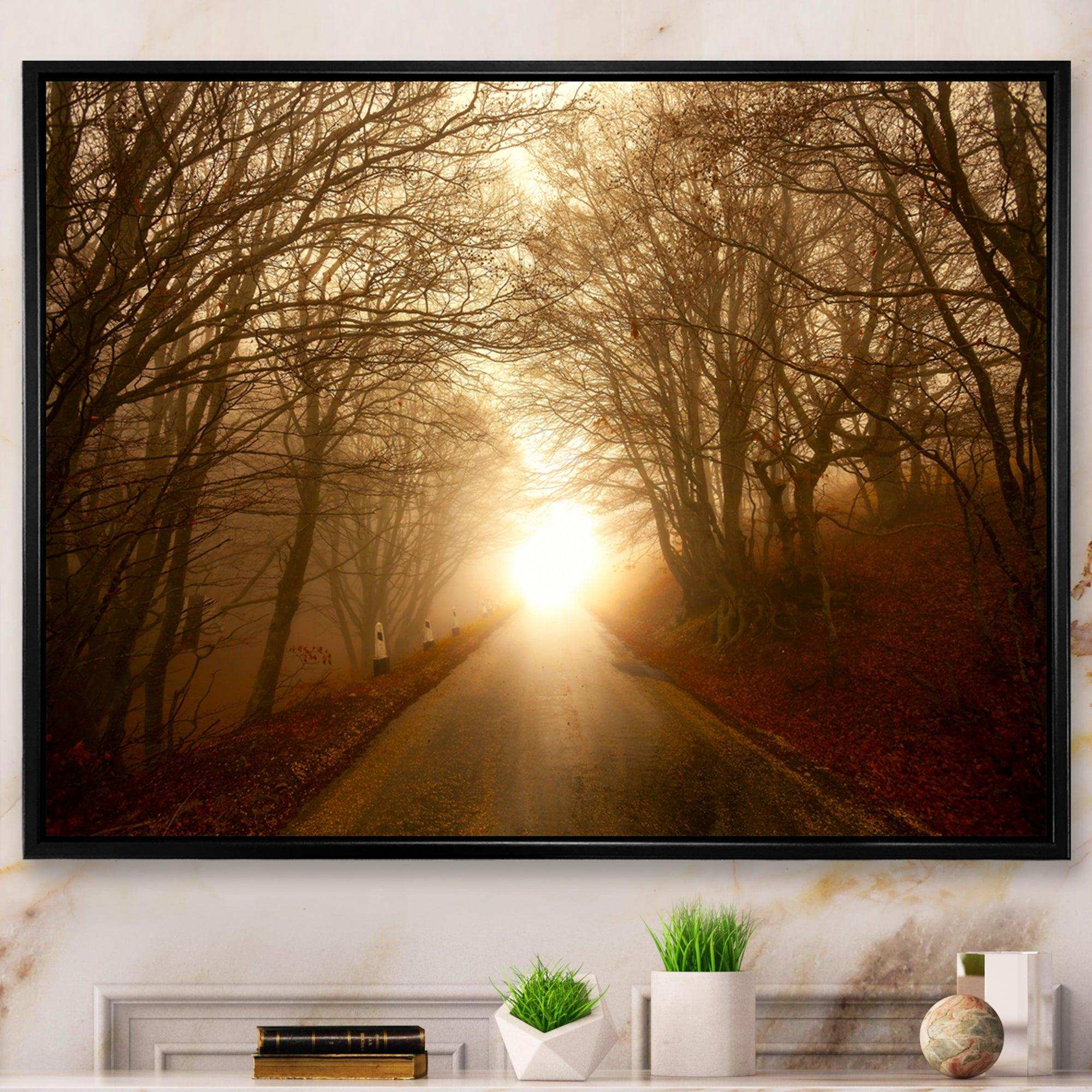 Path to Sunlight in Autumn Forest
