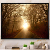 Path to Sunlight in Autumn Forest