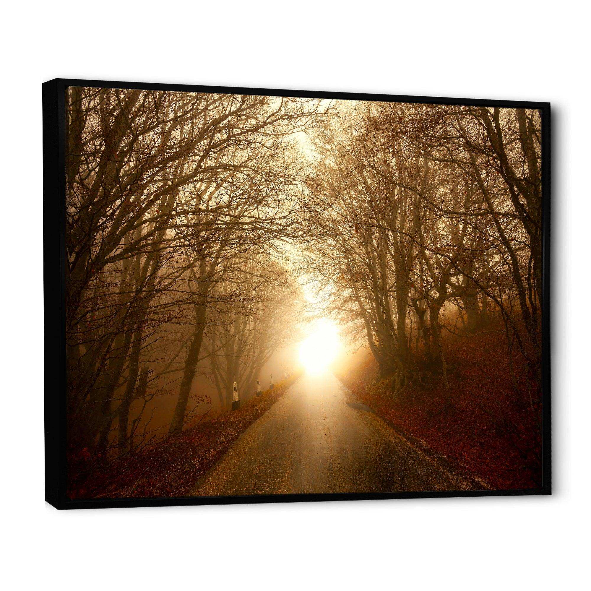 Path to Sunlight in Autumn Forest