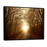 Path to Sunlight in Autumn Forest