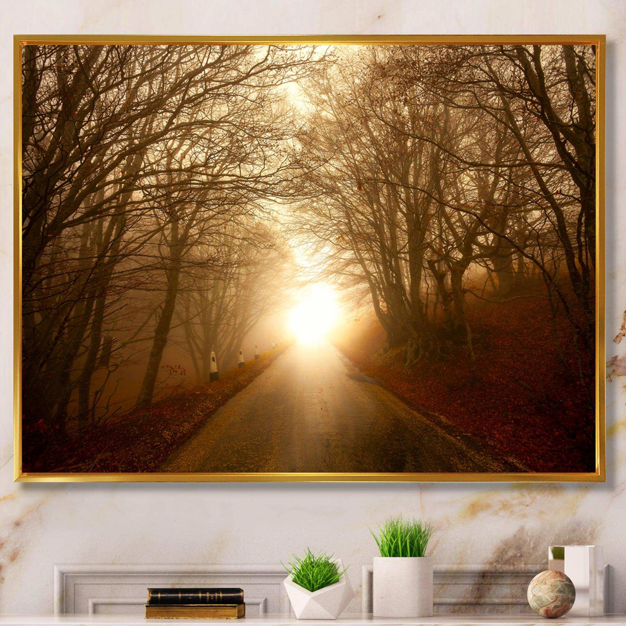 Path to Sunlight in Autumn Forest
