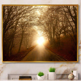 Path to Sunlight in Autumn Forest