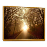 Path to Sunlight in Autumn Forest