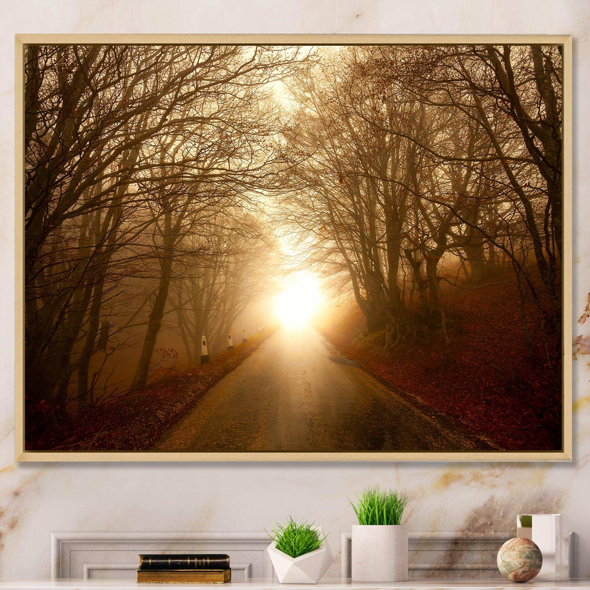 Path to Sunlight in Autumn Forest