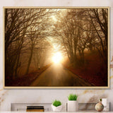 Path to Sunlight in Autumn Forest